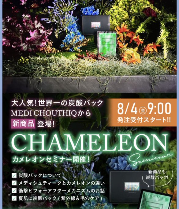 世界一の炭酸パック メディシュティーク 新商品 カメレオンコルセット