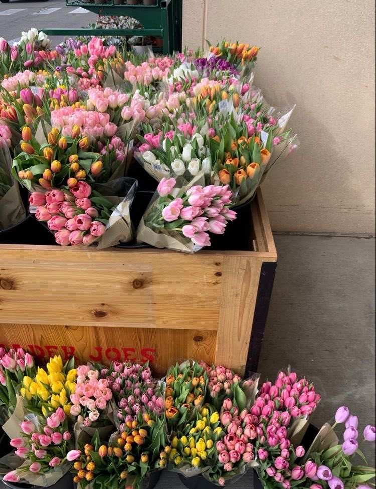 flower lover