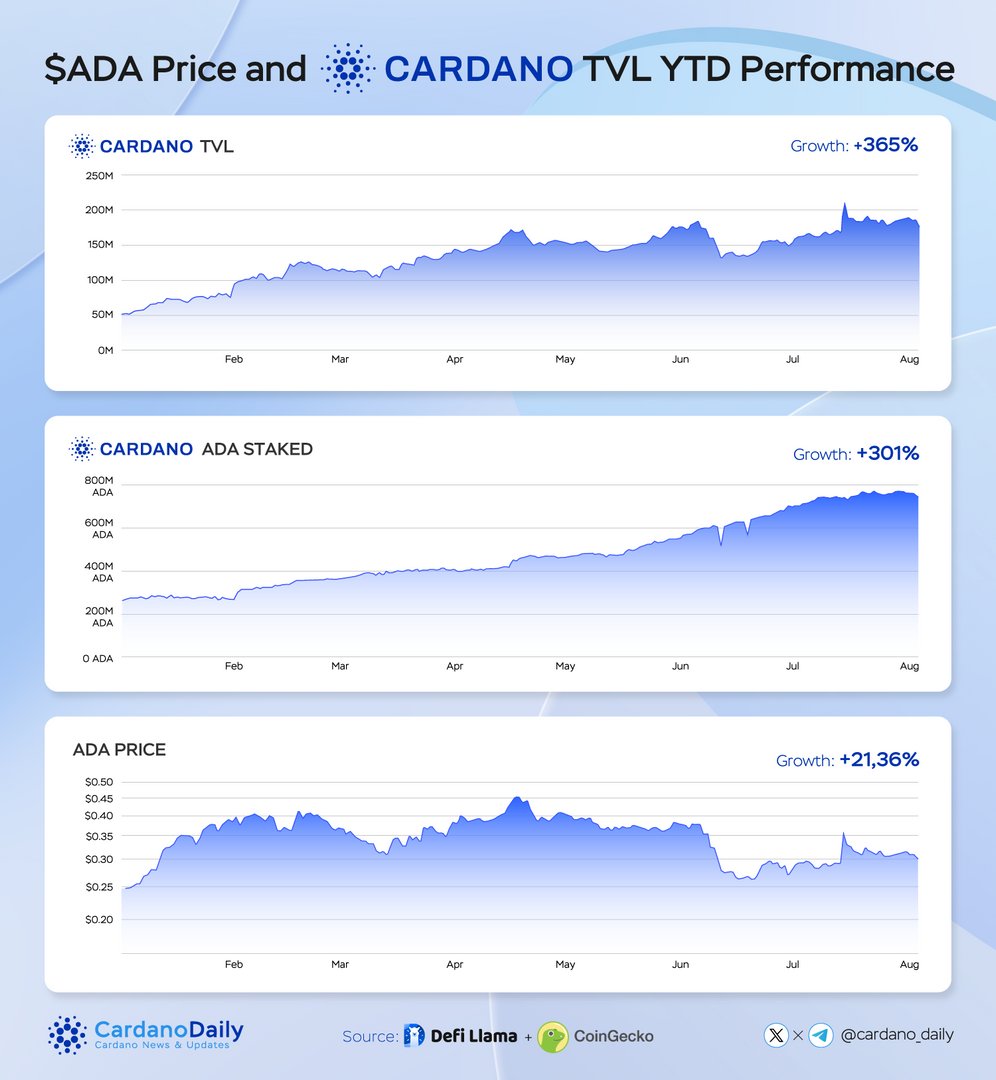 Cardano 5PC tweet media