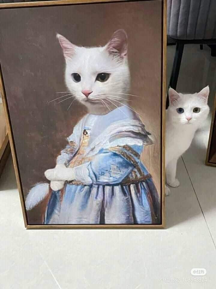 Why you should have a cat tweet media