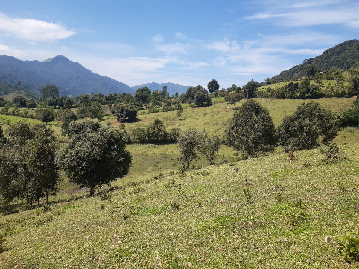 I'm excited to announce that my Open Doors Travel Grant for the 10th World Conference on Ecological Restoration has been approved!

A huge thank you to the Society for Ecological Restoration for this opportunity! I'm so grateful for their support.
#SER2023 #EcologicalRestoration