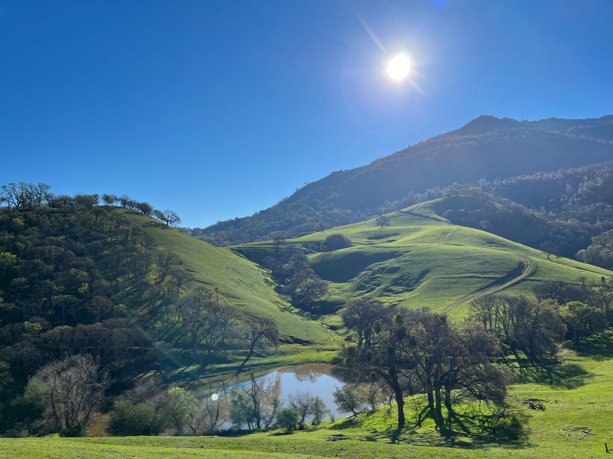 Save Mount Diablo tweet media