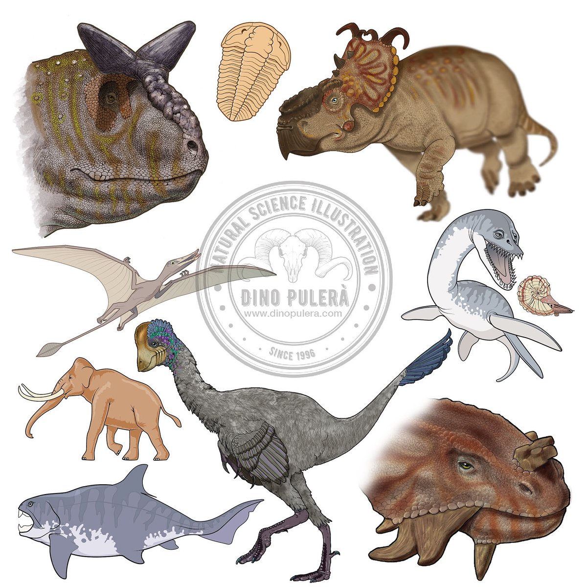 It's #FossilFriday and what better than a #PaleoArt theme for @GNSIorg #SciArtPortfolioWeek #SciArt #dinosaur #paleontology #VizSciComm