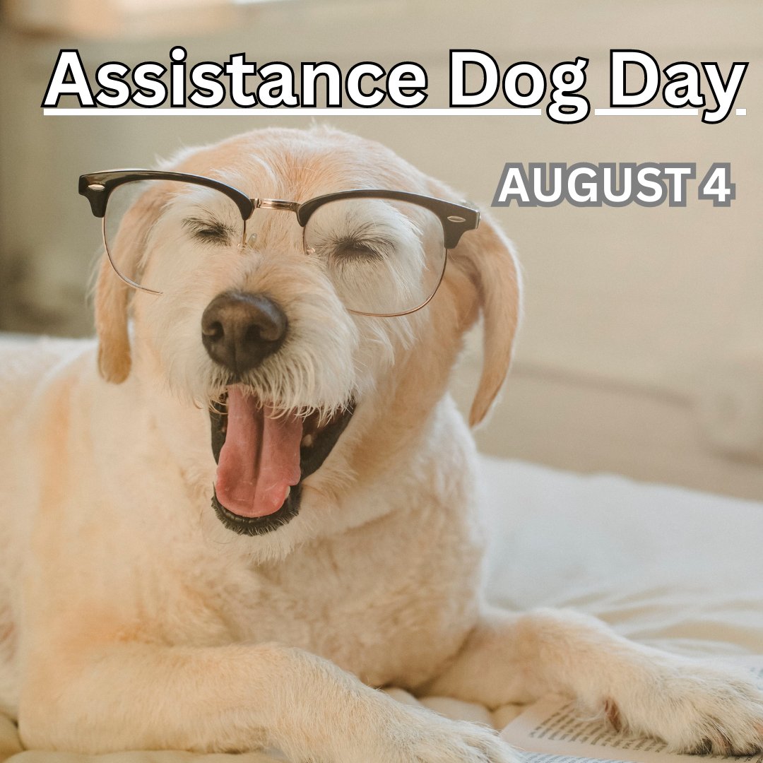 🐾 Celebrating #AssistanceDogDay! 🐕‍🦺 Today, we honor the incredible canines who bring independence and joy to people in need.  Let's give them a wagging round of applause! 👏❤️ #FurryHeroes #SupportDogs #Delaware