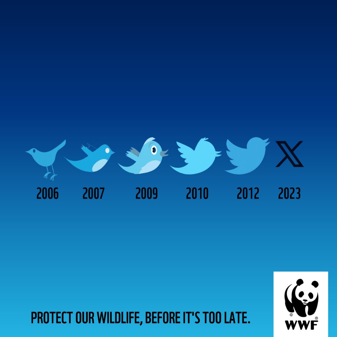 Protect wildlife before it's too late! 🐦 Populations of at-risk species in Canada have declined 59% on average since 1970: wwf.ca/lprc2020 #TwitterX #FridayMorning