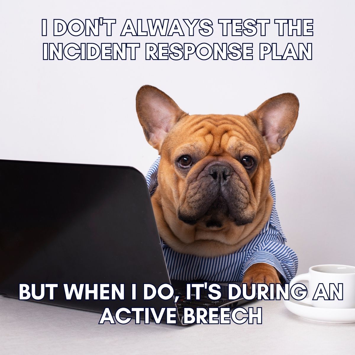 CRI Advantage tweet media