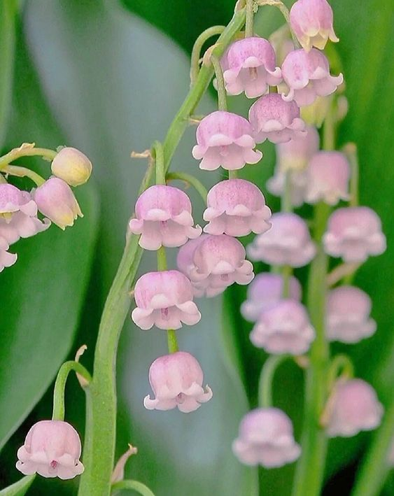 La vie est belle tweet media