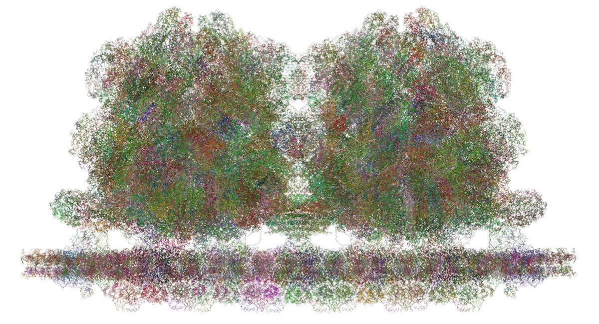 Protein Data Bank tweet media