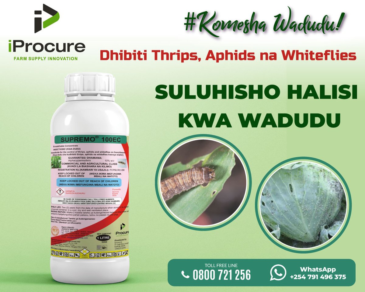 iProcureltd's tweet photo. 🐜🚫 Your Ultimate Insects Solution! 🚫🐜  Say farewell to insecticides with our revolutionary insecticide, SUPREMO 100 EC  🌟 designed to provide unmatched effectiveness against a wide range of insects while being safe for you, your family, and the environment. #KomeshaWadudu! https://t.co/AnYSsx4ibF