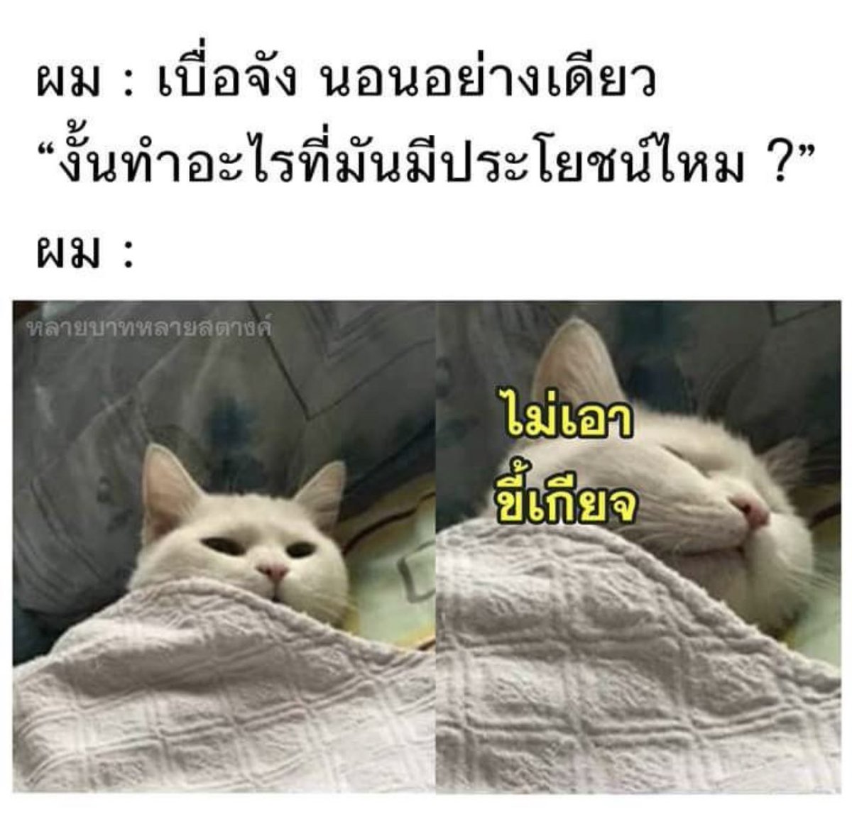 psmark1821's tweet photo. อีเหี้ย ใช่เลย5555555555555555555555555555555555 https://t.co/BTeQpcOumc
