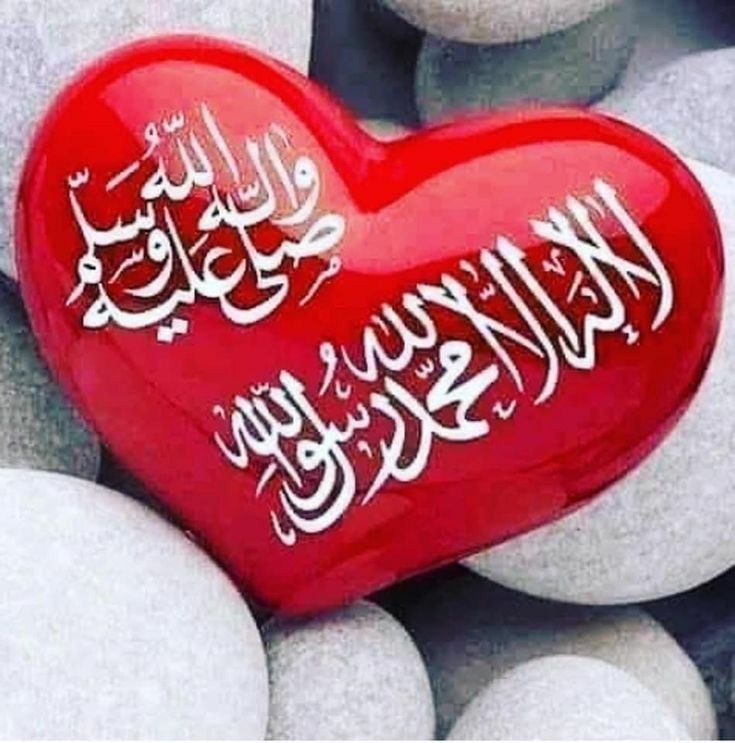 رسول الله ﷺ فرمودند  ...
هرکس آخرین کلامش لا إله إلا الله باشد وارد بهشت می‌شود ... 

مسند أحمد ؛  ٢٣٣

خـدایـا این ڪلمه مبارڪ را ڪلام آخر مـن و هـمـه ے مـومـنـان قـرار بـده ... 🤲
🤍
