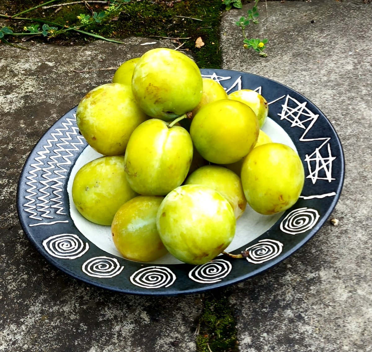 You can forget your vulgar strawberry,  give me a greengage any day. Perfect balance of sharp and sweet, imho best summer  fruit. Thank you @FrancineHens for a golden bounty.