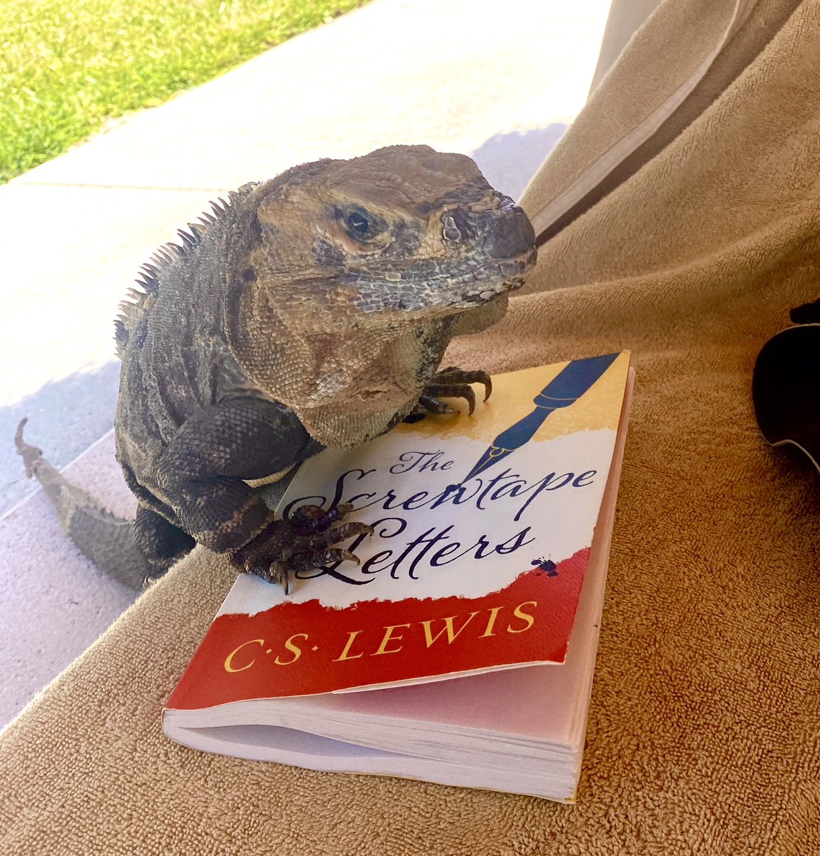 Brant Hansen tweet media