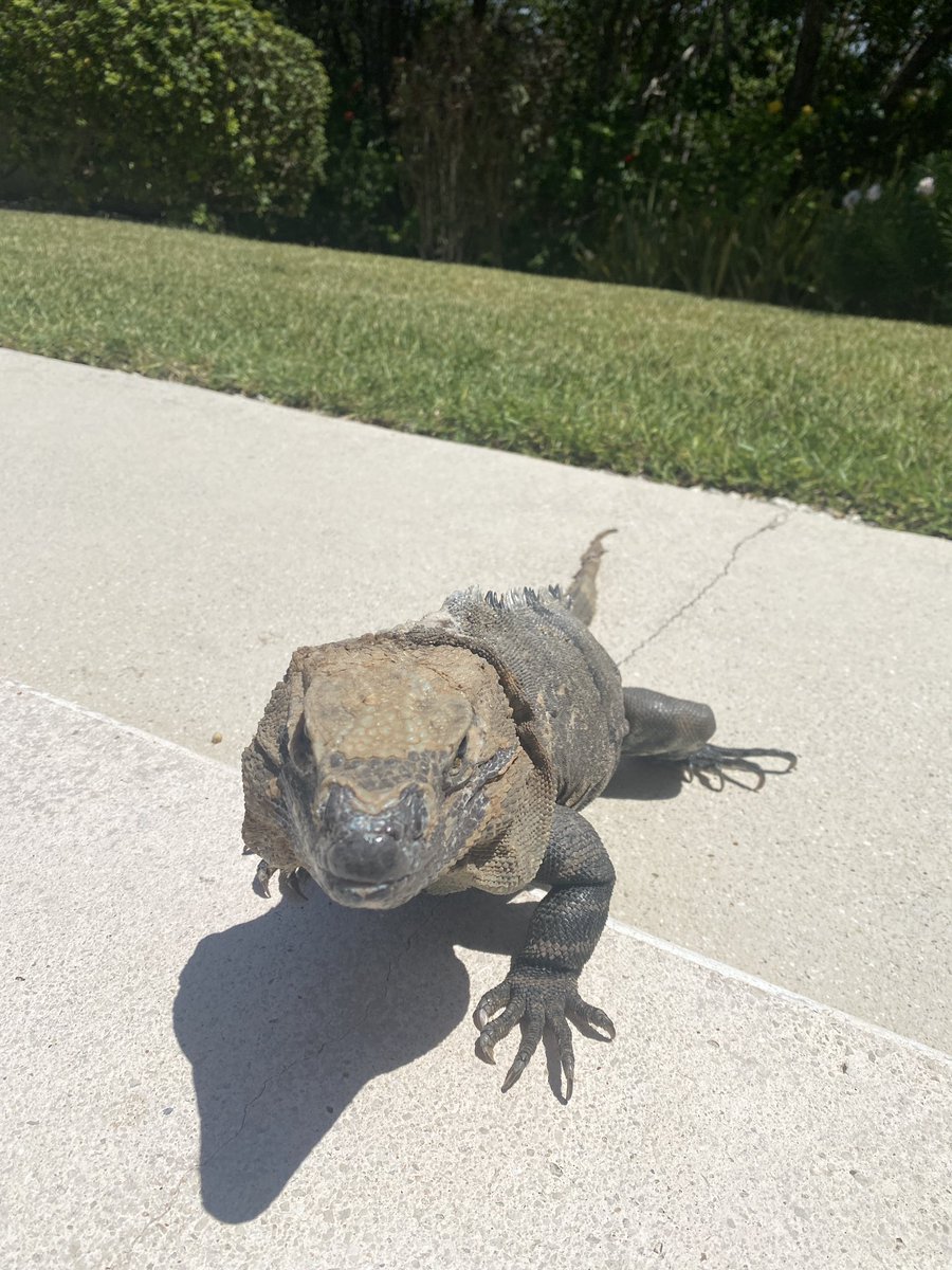 Brant Hansen tweet media