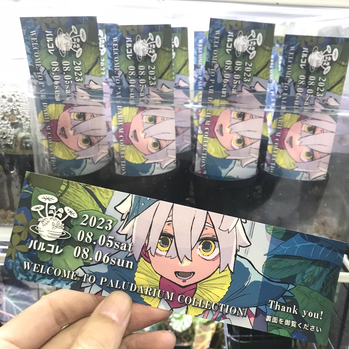 palucolle's tweet photo. 【パルコレ入場者全員にプレゼント】
裏面には、アクアテイラーズさん(@aquatailors344 )とのコラボ企画の一貫として、東大阪本店で使える観葉植物&流木&石10%Offチケット🎫(パルコレ当日から8/13まで有効)が付いています!!もちろん雨林植物も対象です。
#パルコレ #PALUCOLLE #アクアテイラーズ https://t.co/DmC6RLaOWX