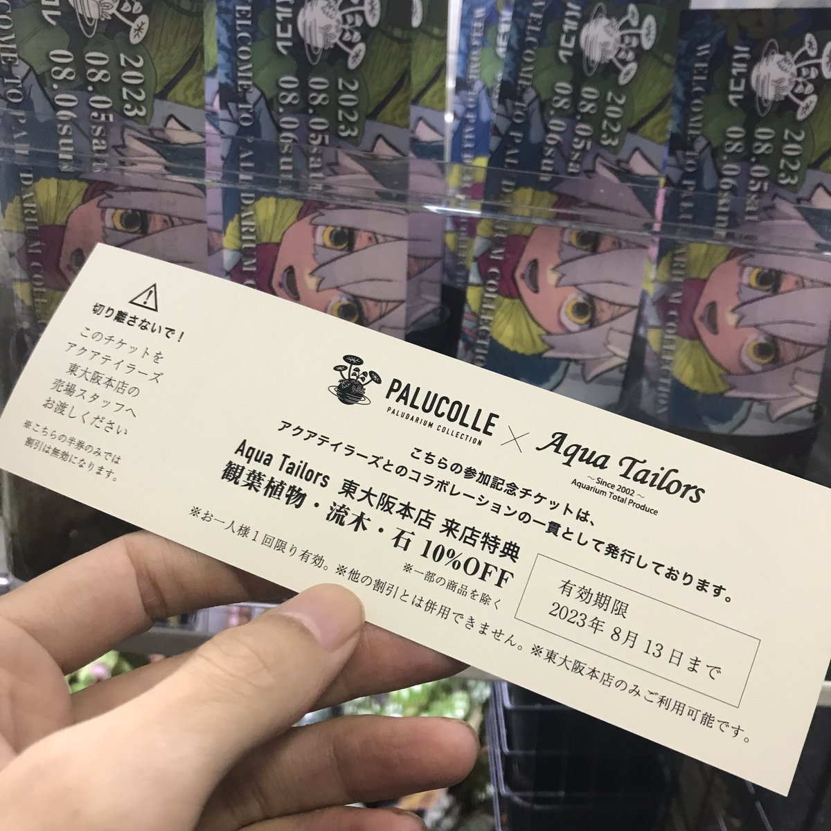 palucolle's tweet photo. 【パルコレ入場者全員にプレゼント】
裏面には、アクアテイラーズさん(@aquatailors344 )とのコラボ企画の一貫として、東大阪本店で使える観葉植物&流木&石10%Offチケット🎫(パルコレ当日から8/13まで有効)が付いています!!もちろん雨林植物も対象です。
#パルコレ #PALUCOLLE #アクアテイラーズ https://t.co/DmC6RLaOWX