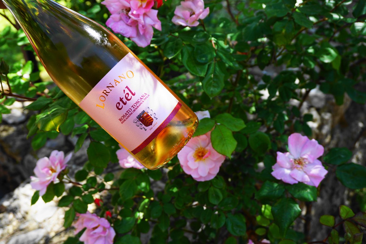 Are you craving for something fresh? Refresh your summer with our Rosè Etél 100% Sangiovese. 
Find it on our webshop lornano.it/lornano-shop/ and save money on shipping ordering 2 or more cases (even mixed)