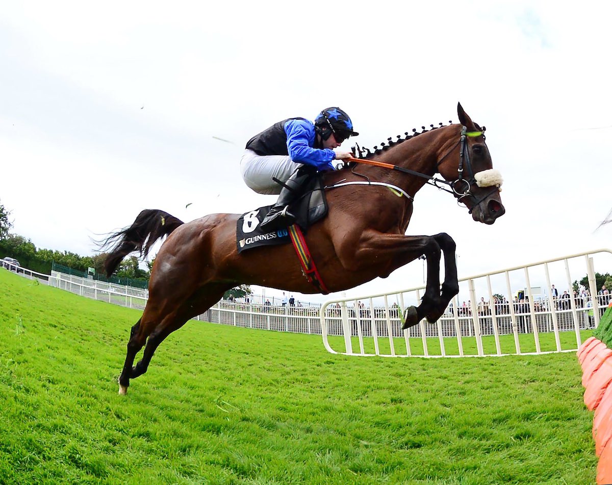 Money for Jam Syndicate (@moneyforjam__) on Twitter photo Incredible day for us all yesterday as The Big Doyen wins the Guinness Novice hurdle <a href="/Galway_Races/">Galway Races</a> under a cool ride from <a href="/kevinsexton94/">Kevin Sexton</a> <a href="/PeterRacing/">Peter Fahey Racing</a> Incredible day for us all yesterday as The Big Doyen wins the Guinness Novice hurdle <a href="/Galway_Races/">Galway Races</a> under a cool ride from <a href="/kevinsexton94/">Kevin Sexton</a> <a href="/PeterRacing/">Peter Fahey Racing</a>