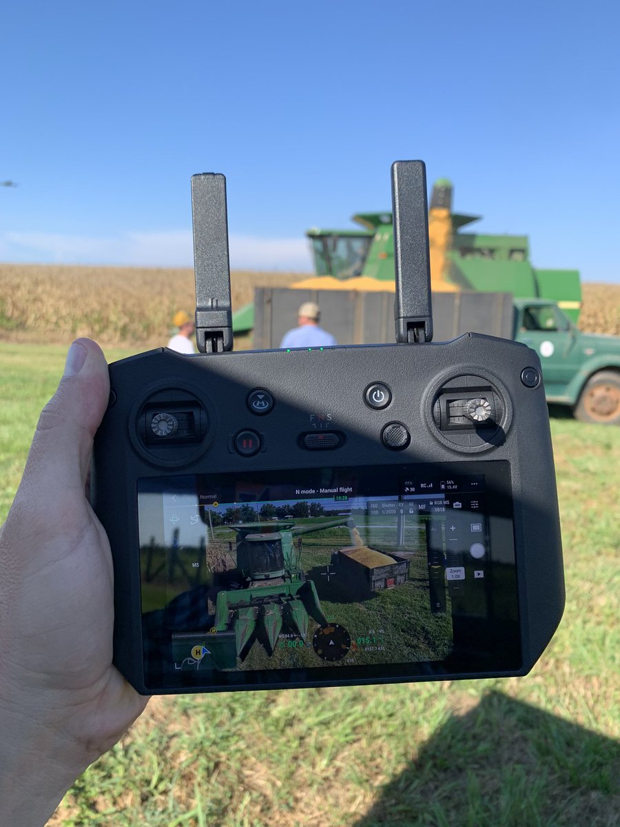 Guilherme Morata tweet media