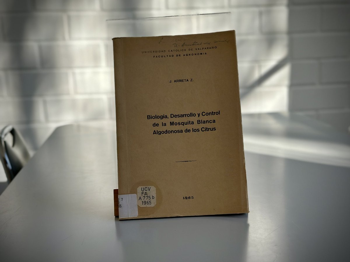 AgroPUCV's tweet photo. 📖¿Sabías que en la biblioteca de nuestra Escuela se encuentran tesis históricas?

🪰Nos vamos acercando a los 60 años de Agronomía PUCV y hoy te presentamos la tesis de Javier Arrieta Zulueta del año 1965, la cual es la más antigua almacenada en la biblioteca del campus. https://t.co/x2cfeV4TF2