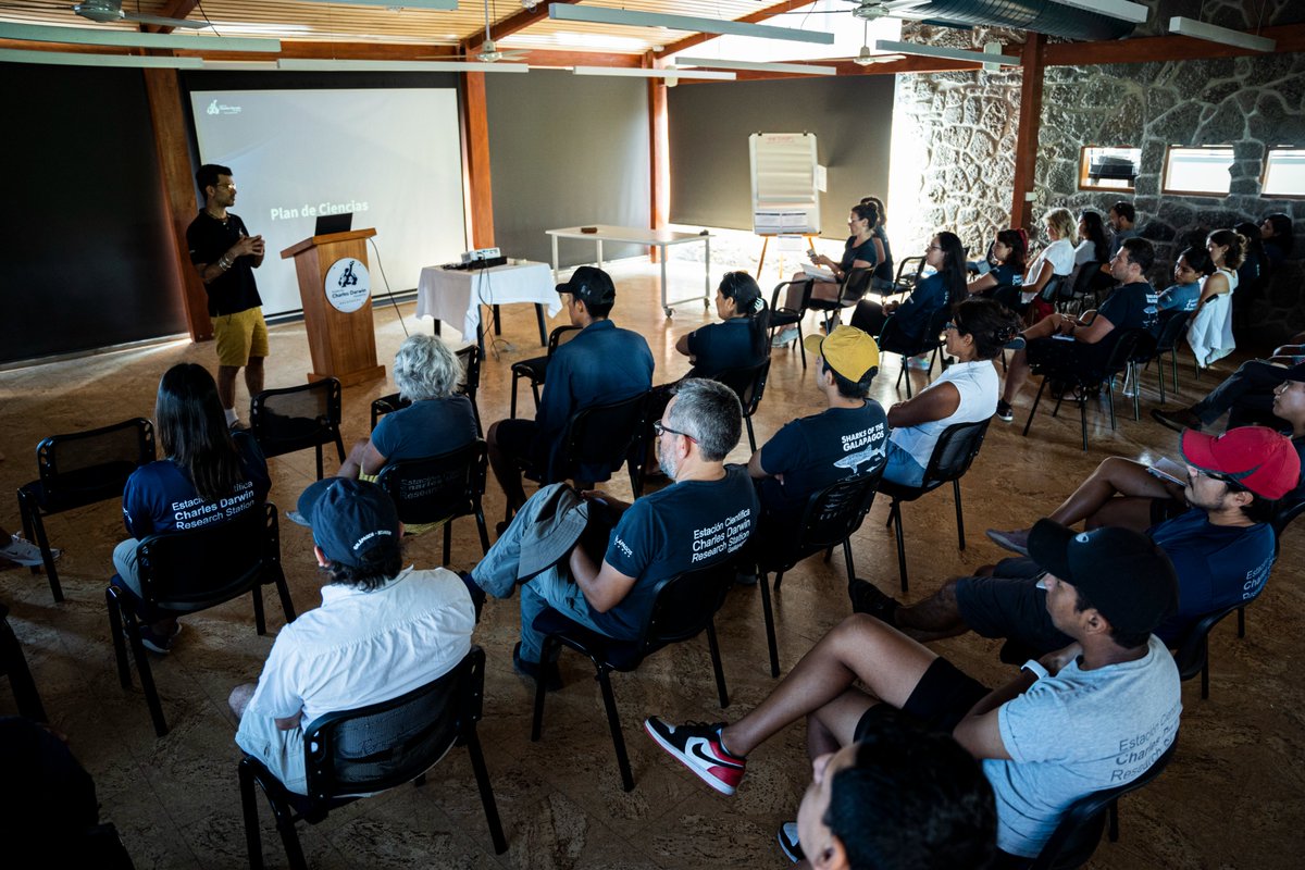 DarwinFound's tweet photo. We are looking for a Project Finance Officer for the project “Habla Tiburón”!
The Project Finance Officer will be responsible for the financial compliance and reporting requirements that arise from the execution of this grant.
🔗 https://t.co/05iyu5b6QC
📷 Carlos Espinosa/CDF https://t.co/d414gl297u