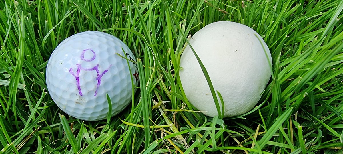 Aanpassen aan je omgeving.. deze paddestoel doet dat wel heel erg goed op de golfbaan 😂
Voor een beginner knap verwarrend 😅
#golf #nieuwedingenleren