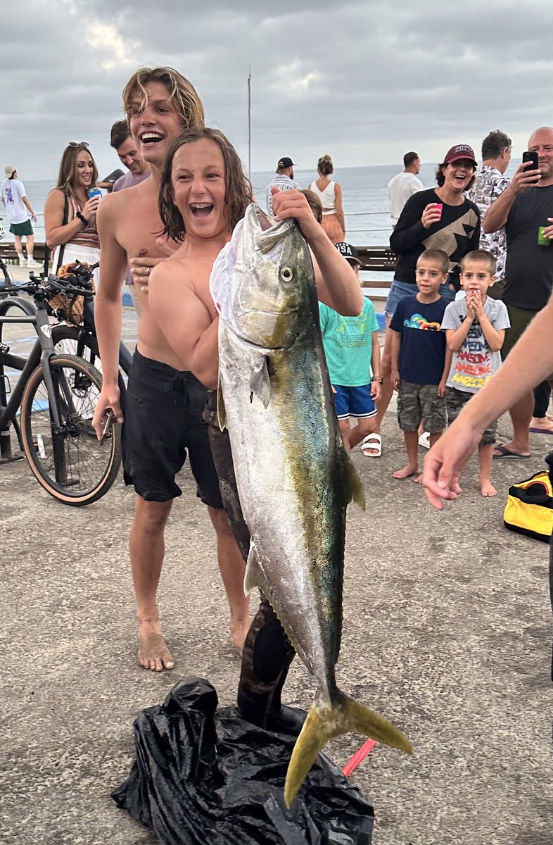 Dan Sheehan tweet media