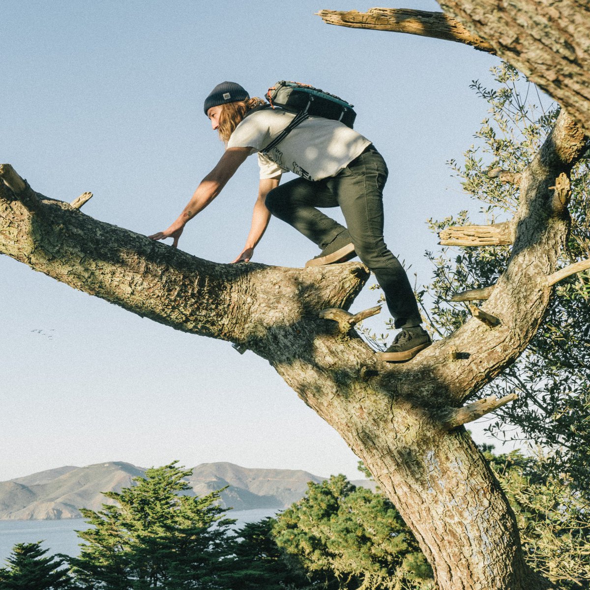 We've climbed through our week and we are ready for the weekend! bit.ly/3DCAeLn