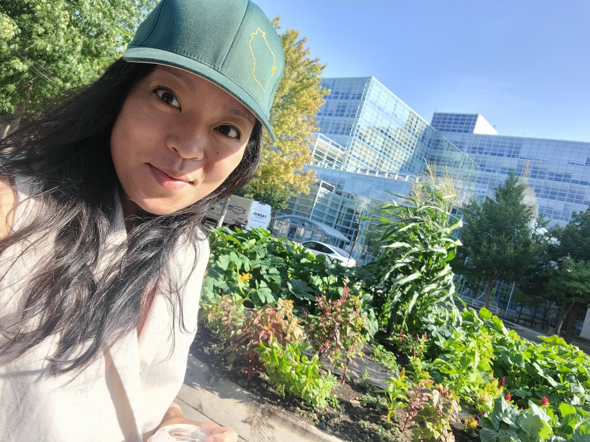 FrancescaHongWI's tweet photo. The Capitol Vegetable Community Garden made possible by @RootedWI , @UrbanTriage &amp; Chef @BinRella is at peak summer goodness. 🌽🥬

Learn more about the partnerships that help care and maintain the garden as well as what's growing below. https://t.co/mt4561ocJo