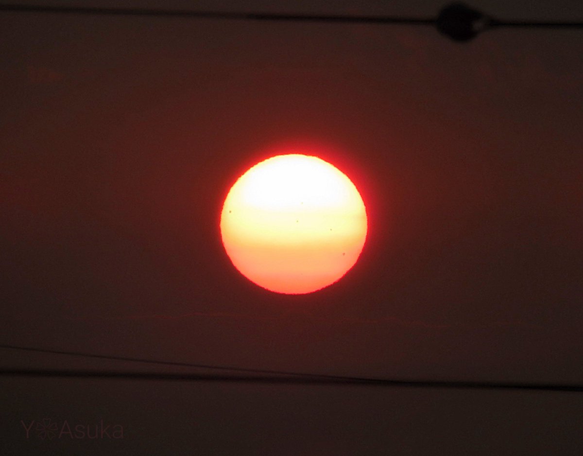 yumeasutw's tweet photo. オレンジの真ん丸 #夕日 🌕️

日の入り近く
厚い雲を抜けた夕日
薄雲がフィルター代わりに
眩しさを和らげ、
沈み行くオレンジの真ん丸夕日が
とても美しかったです🌇

#空の名前
#天気の図鑑 #雲の超図鑑 #雲友の会
#夕空 #夕焼け #sunset
#a2023 #a0804 #a202308 #a2023081 https://t.co/P7ArJdbrrt