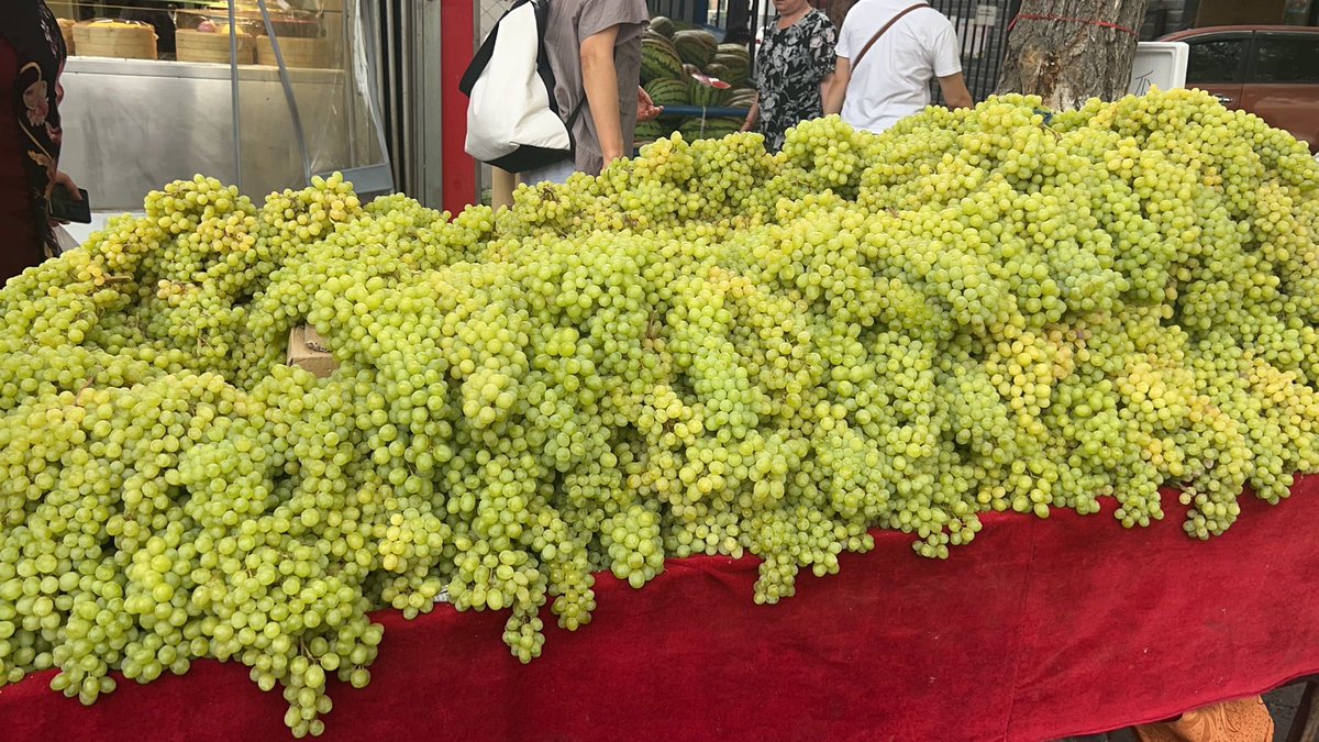Iris200907's tweet photo. Guess where the grapes are from?猜猜，这是哪里的葡萄？ https://t.co/0pklhVvKzx