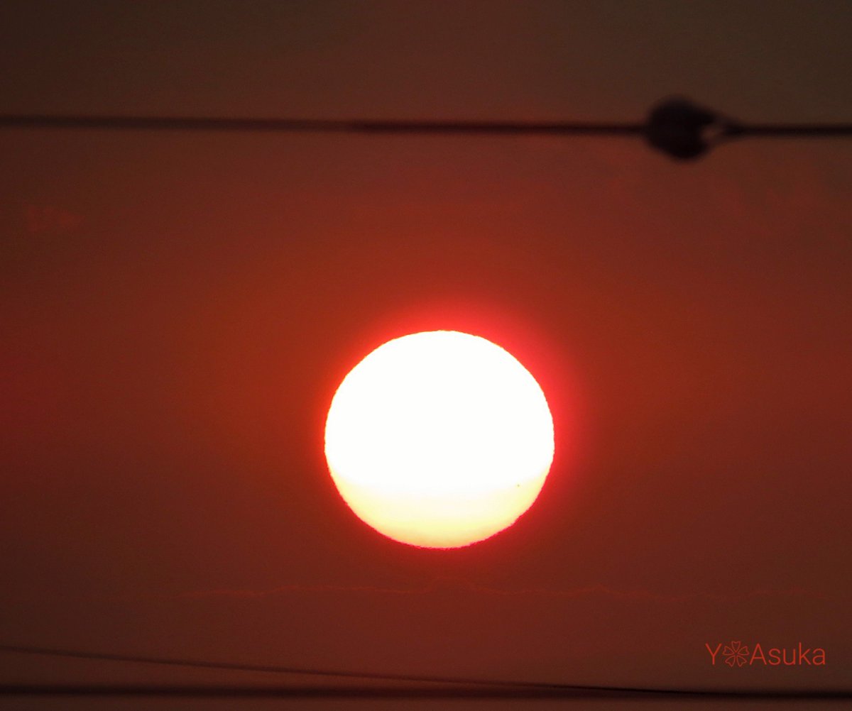 yumeasutw's tweet photo. オレンジの真ん丸 #夕日 🌕️

日の入り近く
厚い雲を抜けた夕日
薄雲がフィルター代わりに
眩しさを和らげ、
沈み行くオレンジの真ん丸夕日が
とても美しかったです🌇

#空の名前
#天気の図鑑 #雲の超図鑑 #雲友の会
#夕空 #夕焼け #sunset
#a2023 #a0804 #a202308 #a2023081 https://t.co/P7ArJdbrrt