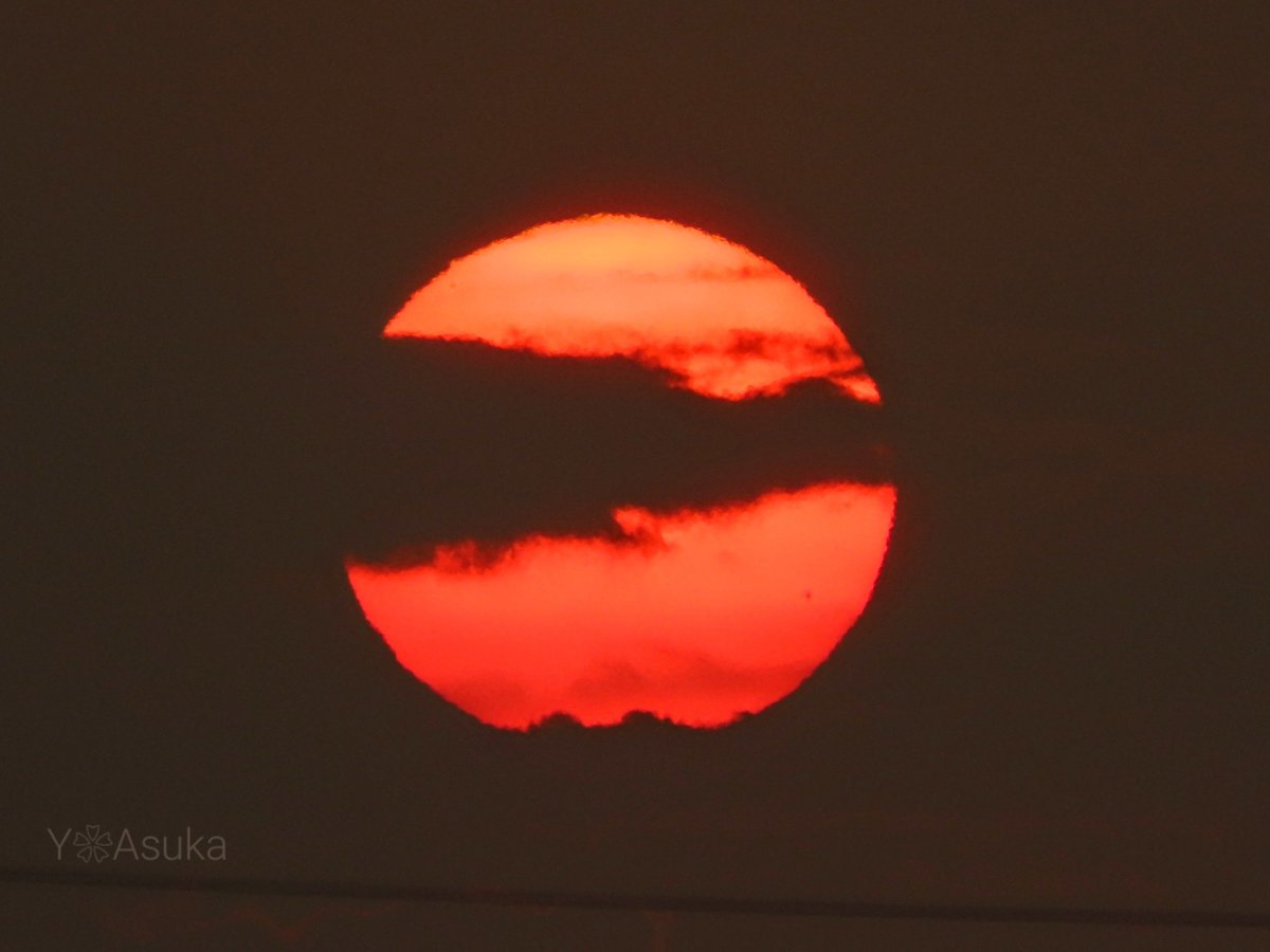 yumeasutw's tweet photo. オレンジの真ん丸 #夕日 🌕️

日の入り近く
厚い雲を抜けた夕日
薄雲がフィルター代わりに
眩しさを和らげ、
沈み行くオレンジの真ん丸夕日が
とても美しかったです🌇

#空の名前
#天気の図鑑 #雲の超図鑑 #雲友の会
#夕空 #夕焼け #sunset
#a2023 #a0804 #a202308 #a2023081 https://t.co/P7ArJdbrrt