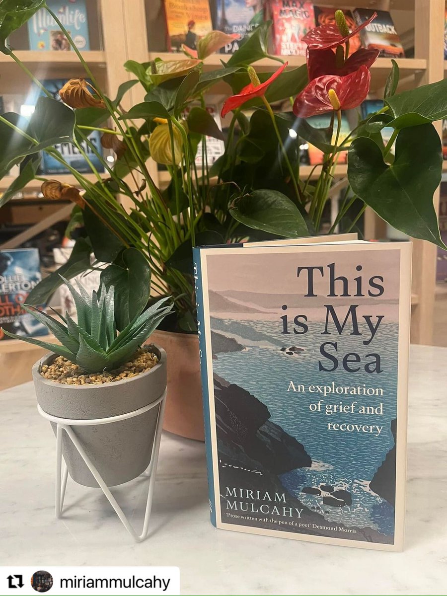 We are delighted to be hosting a book launch for the beautiful 'This is my Sea' by @MulcahyMir on Tuesday 29th August at 7pm. We hope to see you there. 

#kildare #seanchaibooks #irishbooks #independentbookshops #booklaunch #bonnierpress