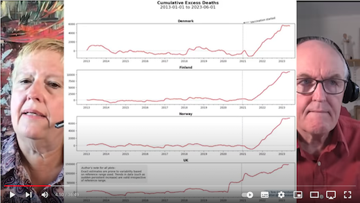 The World Health Organisation has finally acknowledged the two-year global crisis of excess deaths. But still nothing is being done to understand *what* is causing it, as I explained in my recent article:
jonathan-cook.net/blog/2023-07-1…
