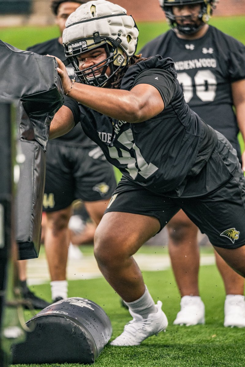 Lindenwood Football tweet media