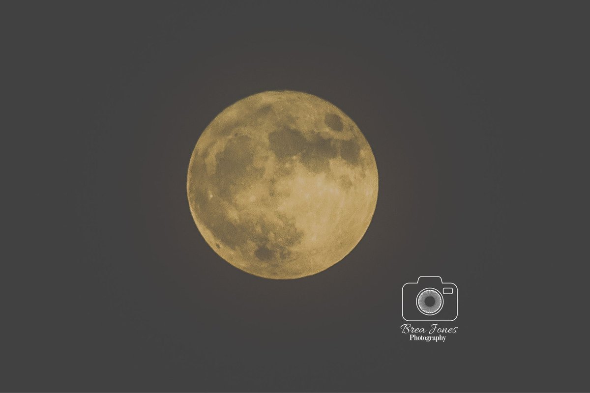 BreasBuzz's tweet photo. The Aug. 1 full moon from my yard. Purchase prints on my Etsy shop: https://t.co/5QRuWm1dpd 

My goal is to sell at least 30 prints this month to raise money for my art fair fundraiser: https://t.co/O3cZi0GM7r. Help by buying a print, donating to my fund, or sharing this post. https://t.co/Have0POAIp
