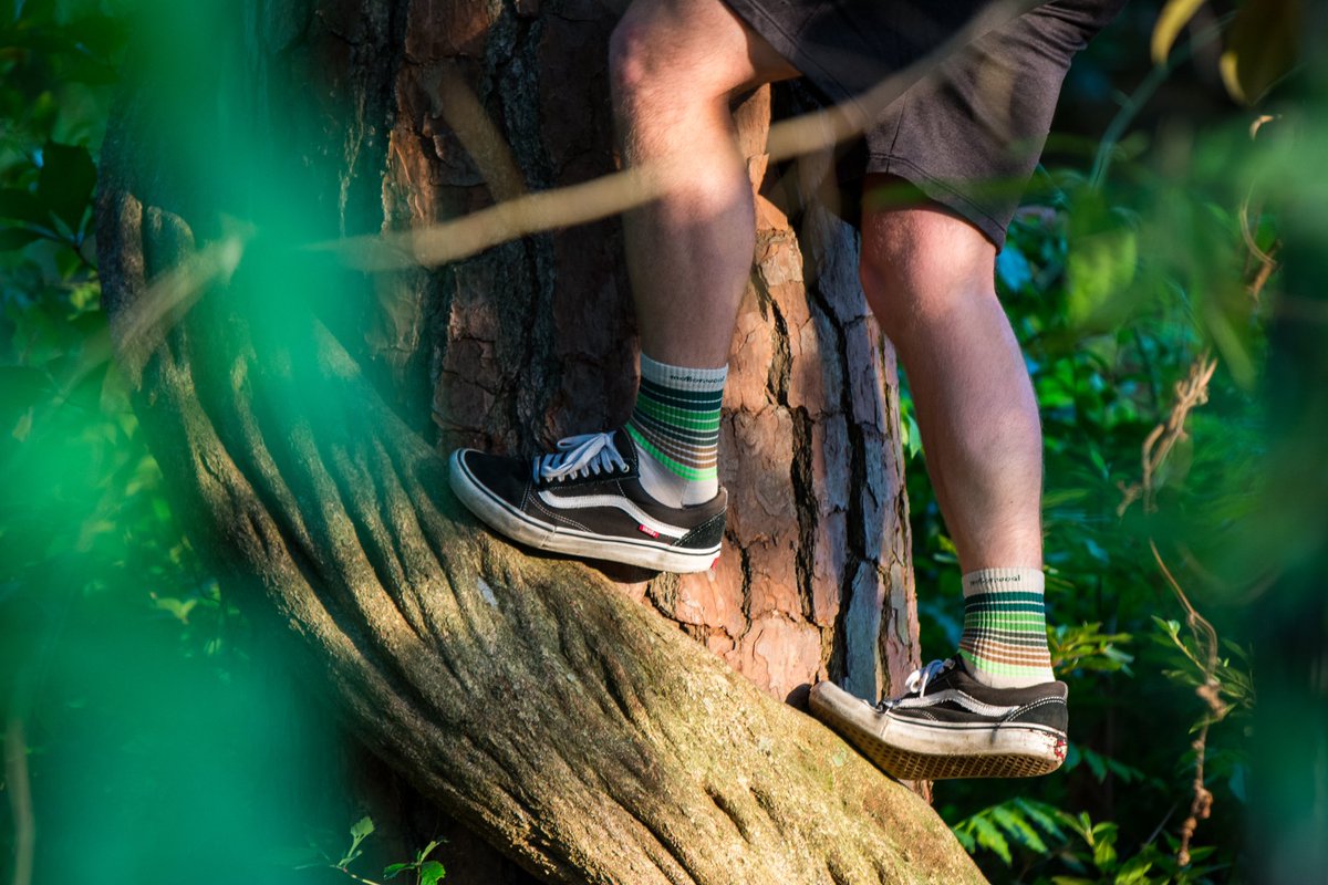 motionwool's tweet photo. Reaching new heights in our motionwool performance socks 🌳🧗
#motionwool #climbing #socks https://t.co/jBGXjZoZqa