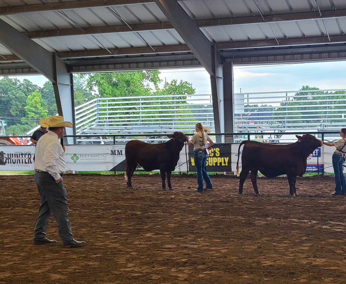MaryKayWilson4's tweet photo. Another show day!! #OzarkEmpireFair  #BlessedAndGrateful https://t.co/j9mpEvkuRz