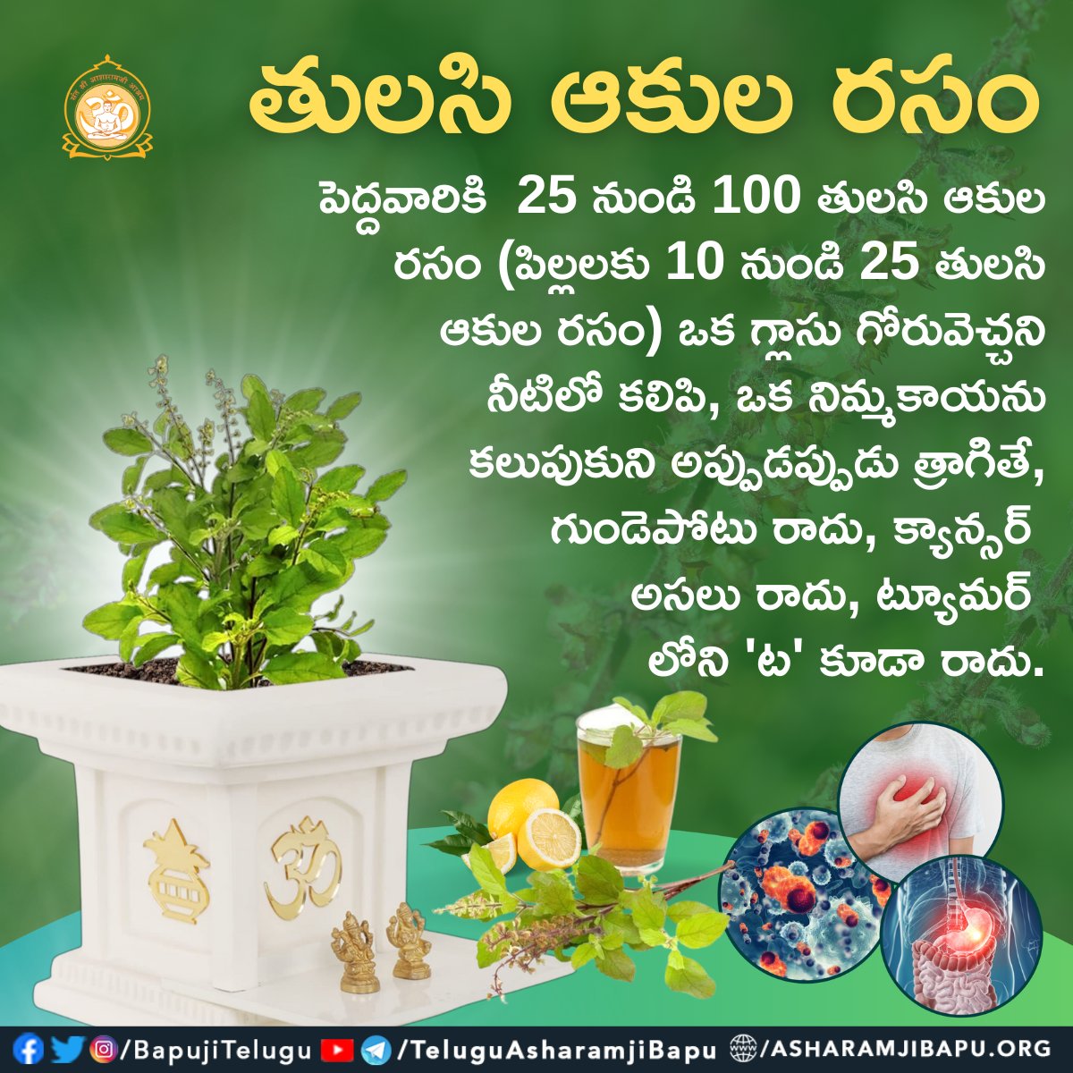 BapujiTelugu's tweet photo. తులసి ఆకుల రసం :
#SantShriAsharamjiAshram
#SantShriAsharamjiBapu
#AsharamjiBapuQuotes
#ImportanceOfTulsi
#AvoidHeartAttack
#AvoidCancer
#AvoidTumor
#HealthTips
#TulsiJuice
#TulsiRas
#Tulsi https://t.co/2CBAzSqSWp