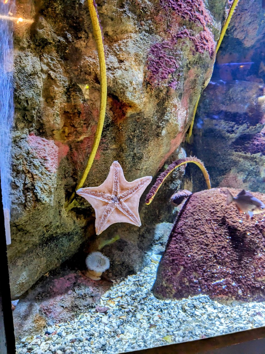 HotelLisa's tweet image. If you are searching for #wedding #reception or rehearsal #dinner venues in #PittsburghPA, check out the #Aquarium inside the #Pittsburgh Zoo!