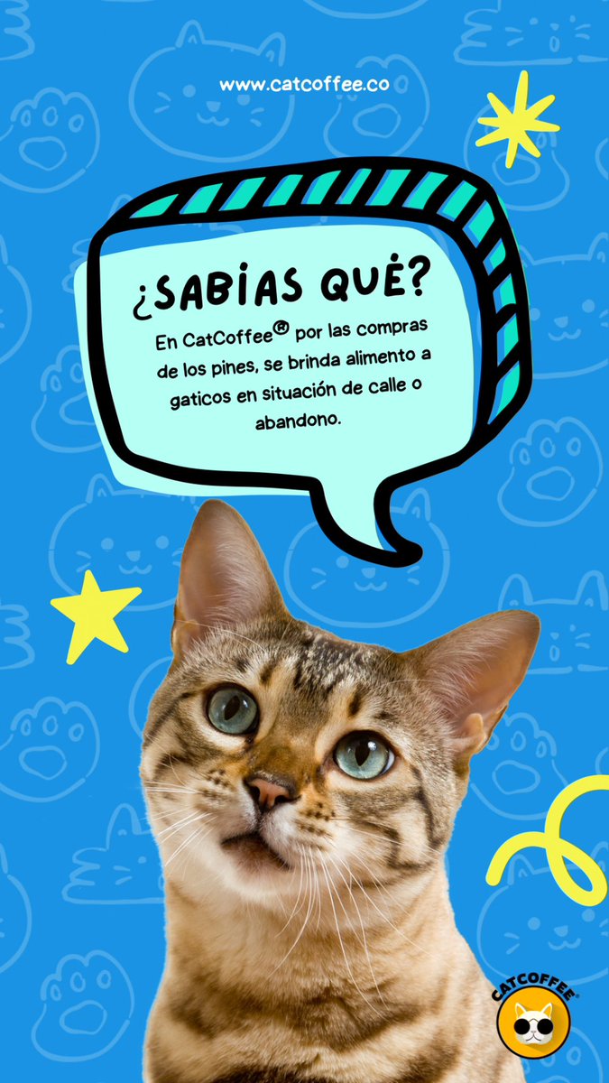 CatCoffeeCo's tweet image. #crowdfunding #catshelp