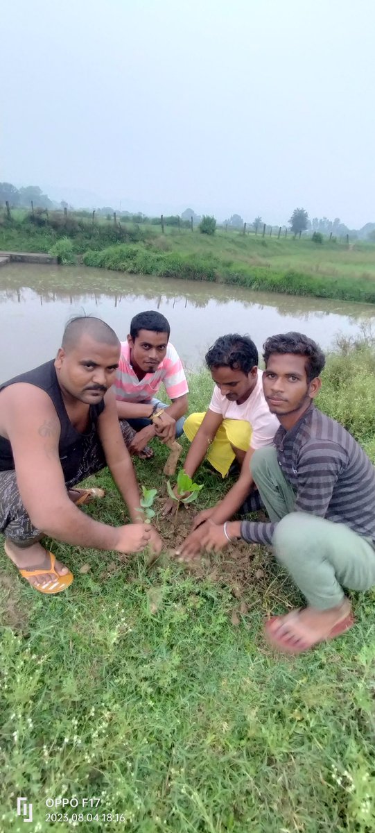 RAMKISH36346014's tweet photo. वृक्षारोपण अभियान कार्यक्रम में पौधरोपण करते हुए https://t.co/17ybb5b0uq