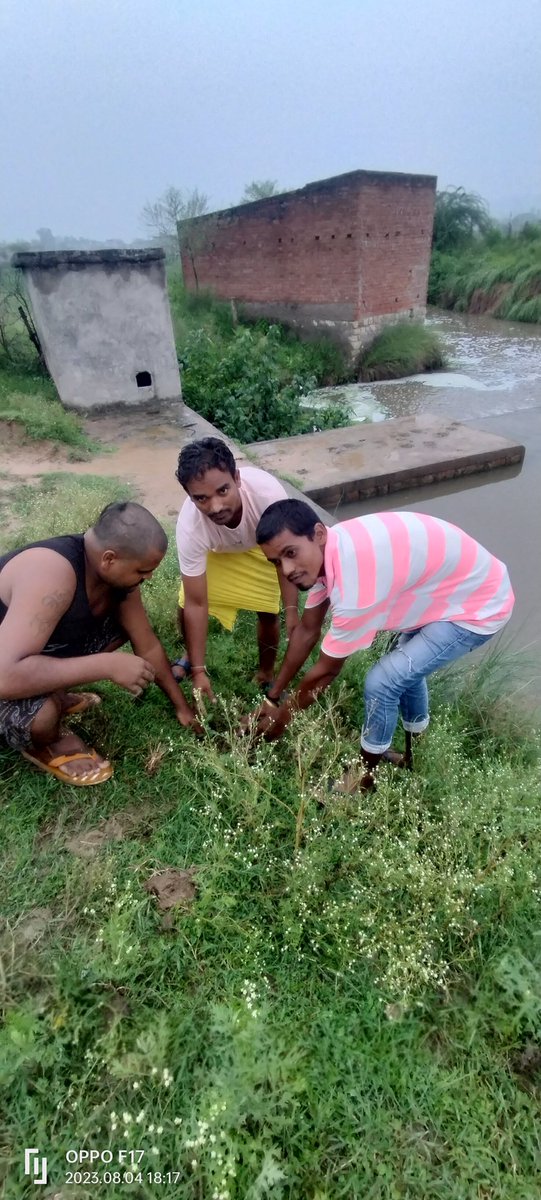 RAMKISH36346014's tweet photo. वृक्षारोपण अभियान कार्यक्रम में पौधरोपण करते हुए https://t.co/17ybb5b0uq