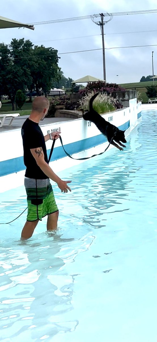 ShawneeSheriff's tweet photo. Our K9 Unit had the incredible opportunity to conduct training at one of the Shawnee County Parks and Recreation's aquatic centers! https://t.co/LmvxcbOp1K