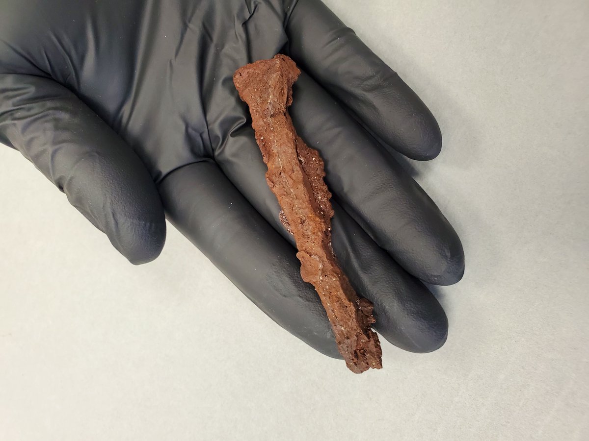 PC Archaeology tweet media
