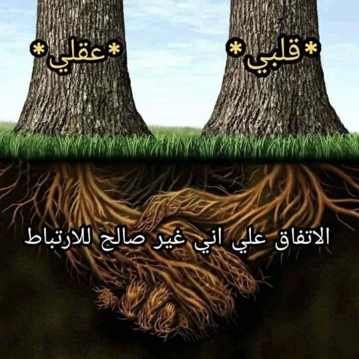 حرفياً: