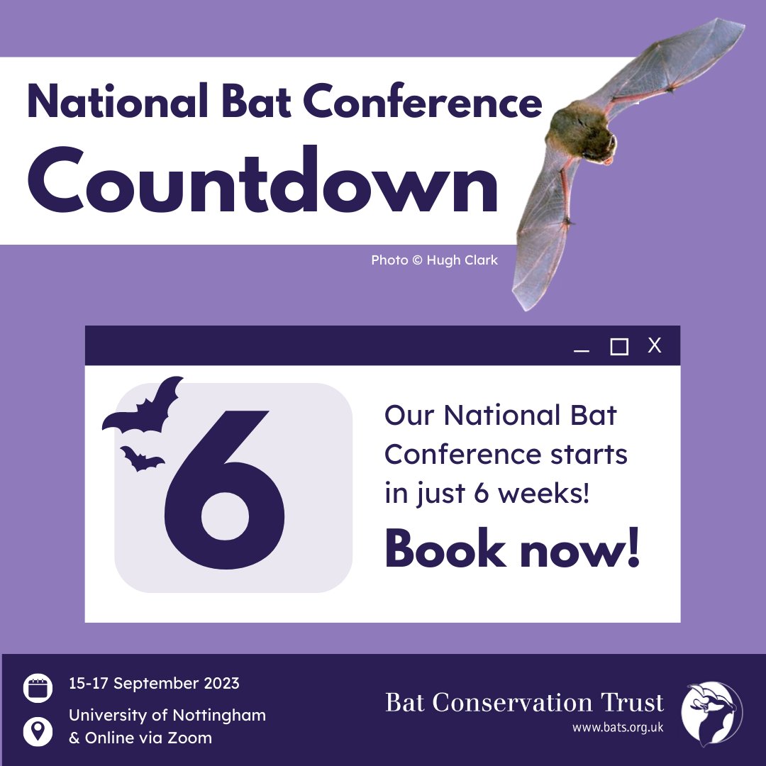 The countdown to our National Bat Conference is officially underway! Time is flying, we only have 6 weeks to go! Book your tickets here: bit.ly/3OC3Rmq