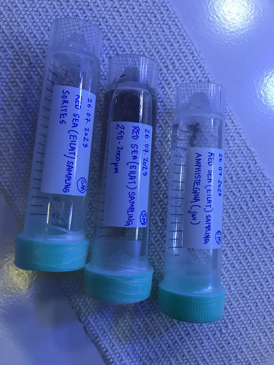 Christiane Schmidt tweet media