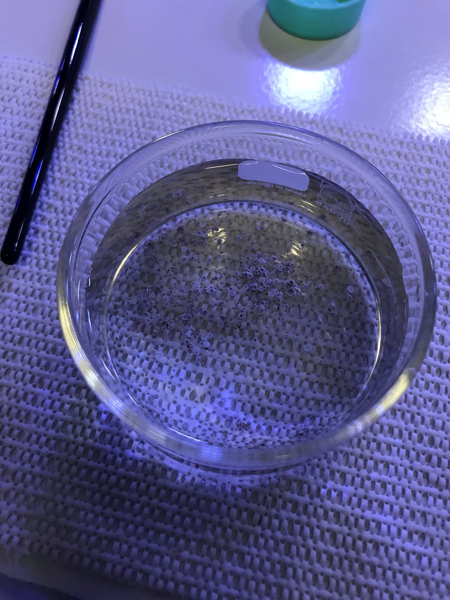 Christiane Schmidt tweet media